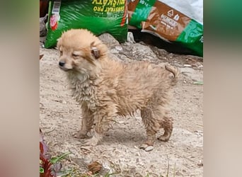 Greg - neugierig und verspielt