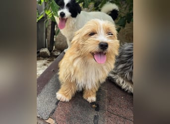 Sunny - jung und neugierig