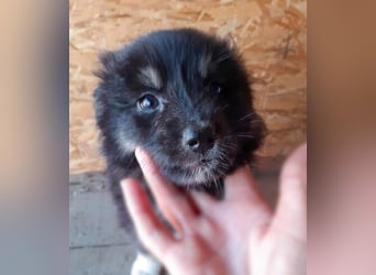 18M ist ein kleiner, flauschiger Herzensbrecher