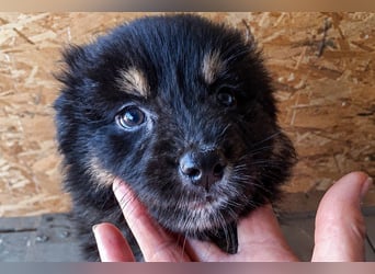 18M ist ein kleiner, flauschiger Herzensbrecher