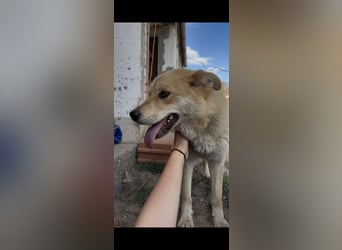 Kira – ein Lächeln, das Herzen erobert ❤️
