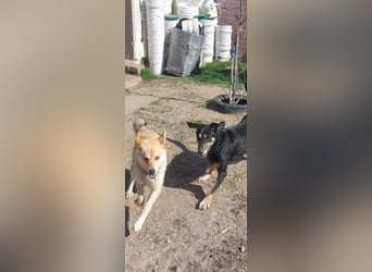 Kira – ein Lächeln, das Herzen erobert ❤️