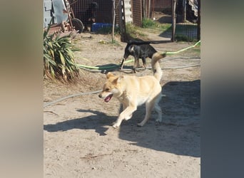 Kira – ein Lächeln, das Herzen erobert ❤️