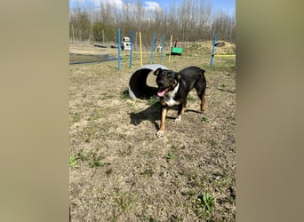 Borso möchte das Leben leben!