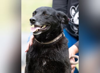 Die liebe Lujzi wartet schon sooo lange!