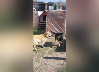 Kira – ein Lächeln, das Herzen erobert ❤️