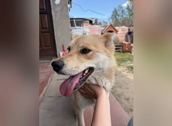 Kira – ein Lächeln, das Herzen erobert ❤️