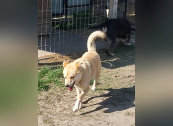 Kira – ein Lächeln, das Herzen erobert ❤️