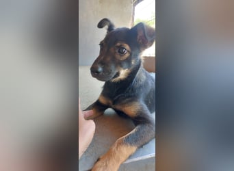 Liza, 5/26 geb, sucht dich!
