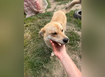 Kira – ein Lächeln, das Herzen erobert ❤️