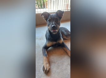 Liza, 5/26 geb, sucht dich!