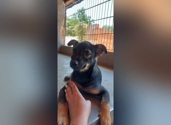 Liza, 5/26 geb, sucht dich!