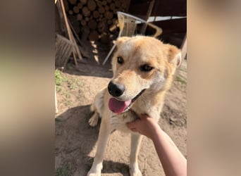 Kira – ein Lächeln, das Herzen erobert ❤️