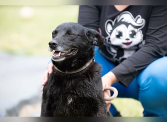 Die liebe Lujzi wartet schon sooo lange!