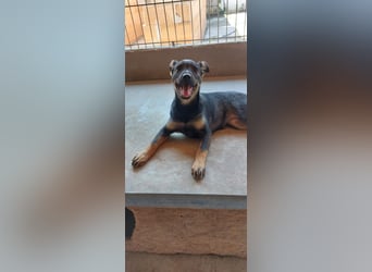Liza, 5/26 geb, sucht dich!
