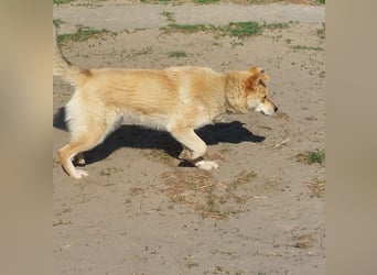 Kira – ein Lächeln, das Herzen erobert ❤️