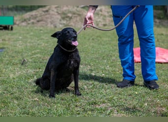 Die liebe Lujzi wartet schon sooo lange!