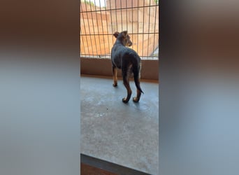 Liza, 5/26 geb, sucht dich!