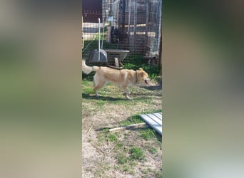 Kira – ein Lächeln, das Herzen erobert ❤️