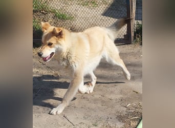 Kira – ein Lächeln, das Herzen erobert ❤️