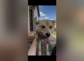 Kira – ein Lächeln, das Herzen erobert ❤️
