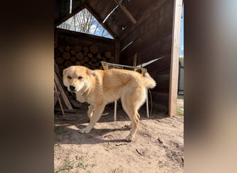 Kira – ein Lächeln, das Herzen erobert ❤️