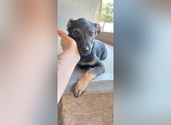 Liza, 5/26 geb, sucht dich!