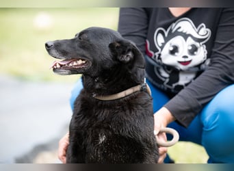 Die liebe Lujzi wartet schon sooo lange!