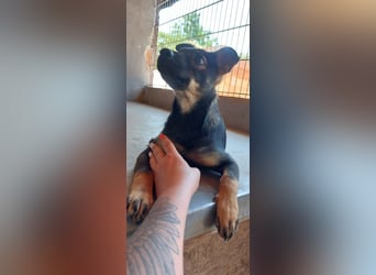 Liza, 5/26 geb, sucht dich!