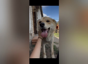 Kira – ein Lächeln, das Herzen erobert ❤️