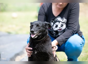 Die liebe Lujzi wartet schon sooo lange!