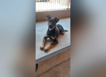 Liza, 5/26 geb, sucht dich!
