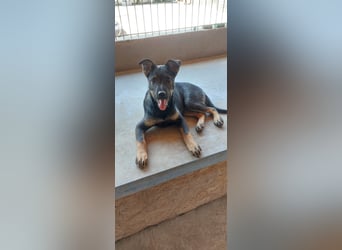 Liza, 5/26 geb, sucht dich!