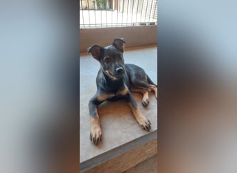 Liza, 5/26 geb, sucht dich!