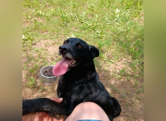 Die liebe Lujzi wartet schon sooo lange!