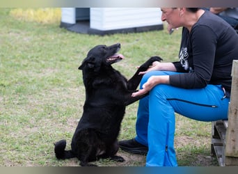 Die liebe Lujzi wartet schon sooo lange!