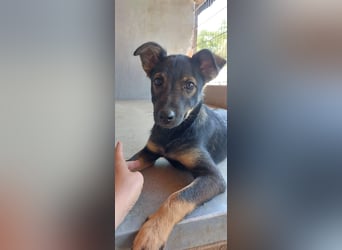 Liza, 5/26 geb, sucht dich!