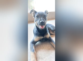 Liza, 5/26 geb, sucht dich!