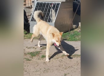 Kira – ein Lächeln, das Herzen erobert ❤️
