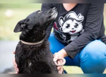 Die liebe Lujzi wartet schon sooo lange!