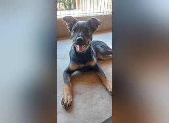 Liza, 5/26 geb, sucht dich!