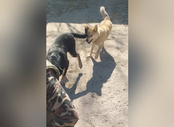 Kira – ein Lächeln, das Herzen erobert ❤️