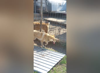 Kira – ein Lächeln, das Herzen erobert ❤️