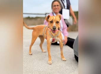 Kleine Melanie sucht ihre Menschen