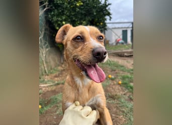 Kleine Melanie sucht ihre Menschen