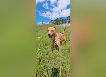 Kleine Melanie sucht ihre Menschen