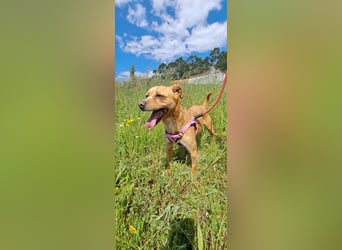 Kleine Melanie sucht ihre Menschen