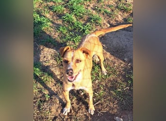 Kleine Melanie sucht ihre Menschen