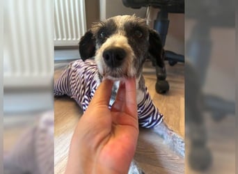 Zauberhafte, kleine Lily