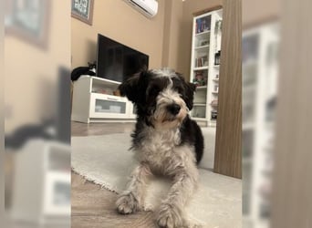 Zauberhafte, kleine Lily